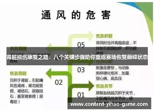 肾脏损伤康复之路:八个关键步骤助你重返赛场恢复巅峰状态 肾脏损伤康复之路:八个关键步骤助你重返赛场恢复巅峰状态