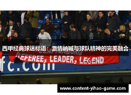 西甲经典球迷标语:激情呐喊与球队精神的完美融合 西甲经典球迷标语:激情呐喊与球队精神的完美融合