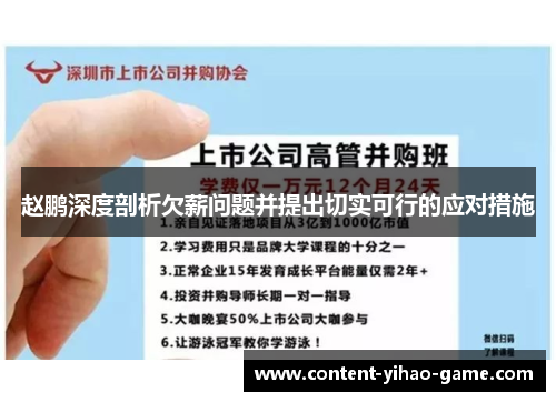 赵鹏深度剖析欠薪问题并提出切实可行的应对措施